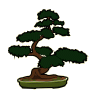 Bonsai