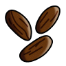 Cocoa Beans