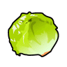 Lettuce