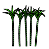 Sugar Cane